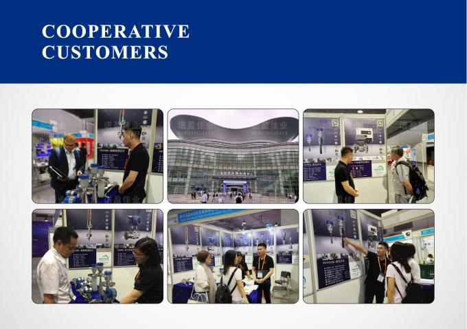 Density Meter -tipe probe untuk Pengukuran yang Tepat 3