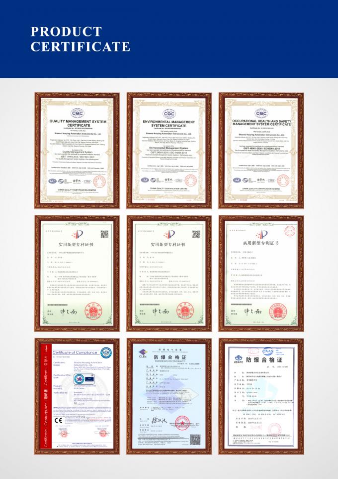 RF Capacitive Level Switch untuk pengukuran cairan Suhu Tinggi Slurry Korosif Cairan 7