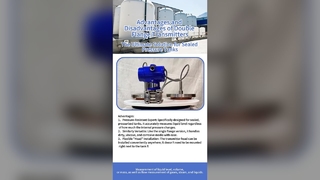 NY3051-4 Penjualan Panas Pemancar Tekanan Flange Ganda